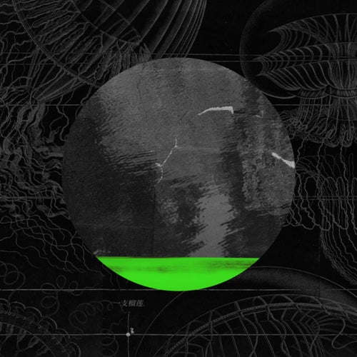 Release of the week