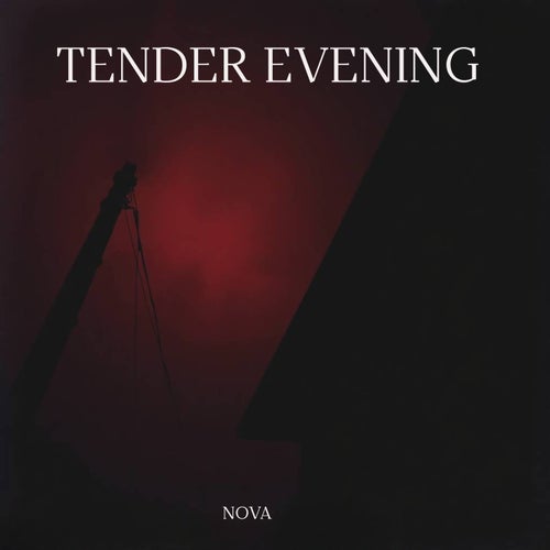 Tender Evening