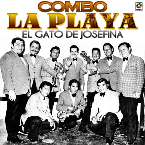 Compay Felo