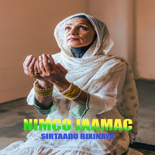 Sirtaadu Bixinaya