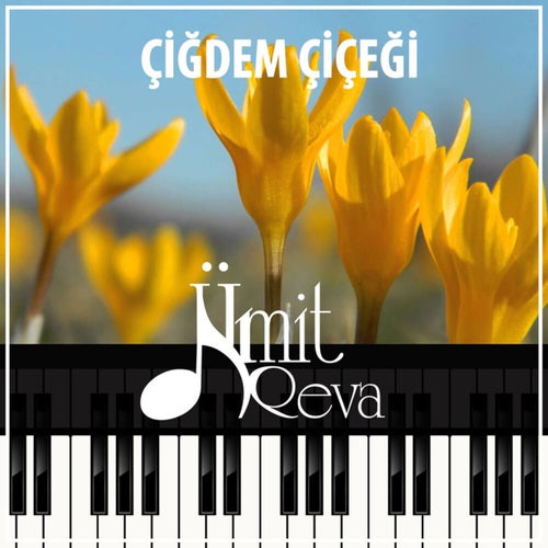 Çiğdem Çiçeği
