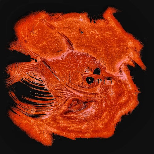 XX i