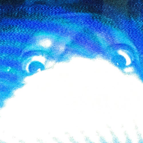Bug Eyes