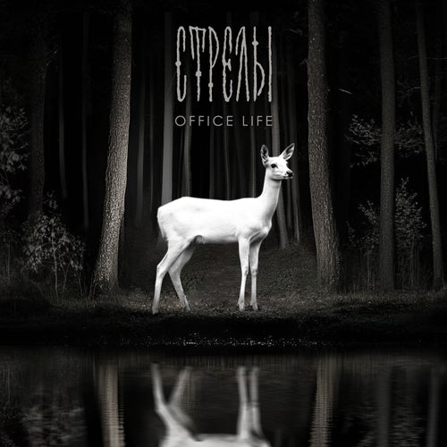 Стрелы