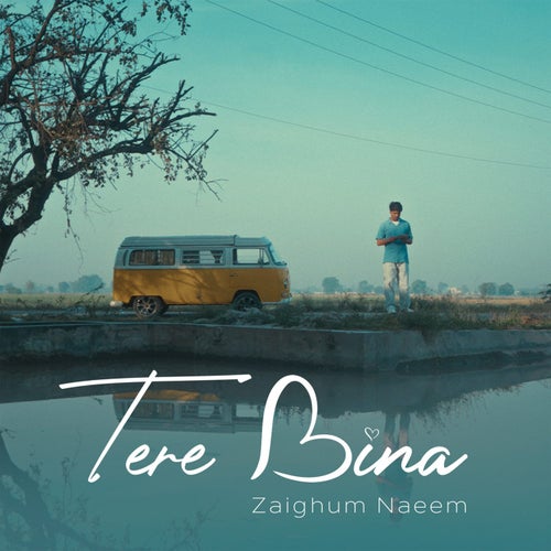 Tere Bina