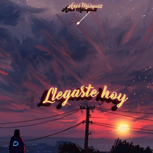 Llegaste hoy