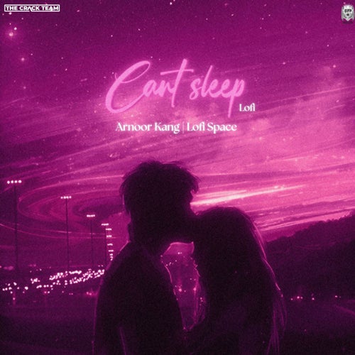 Cant Sleep (Lofi)