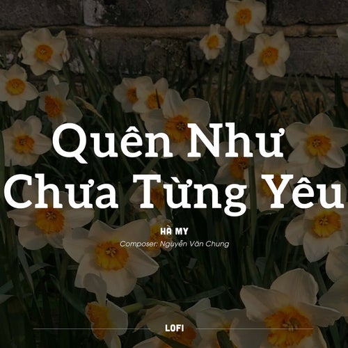 Quên Như Chưa Từng Yêu (Lofi)