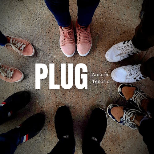 Plug
