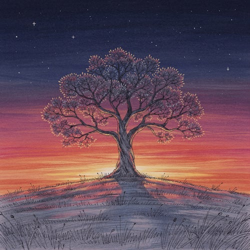 Afterglow Nightfall