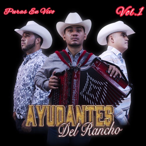 Puras En Vivo Vol. 1