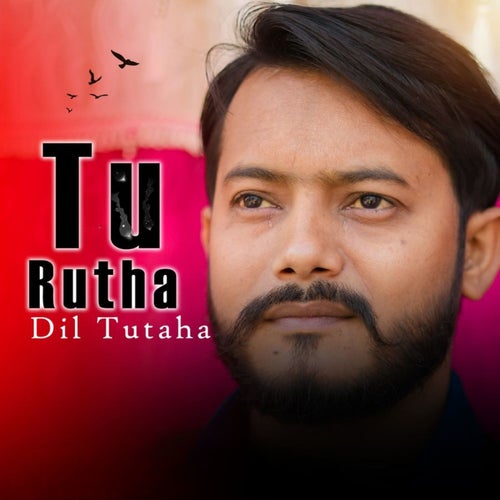 Tu Rutha Dil Tutaha