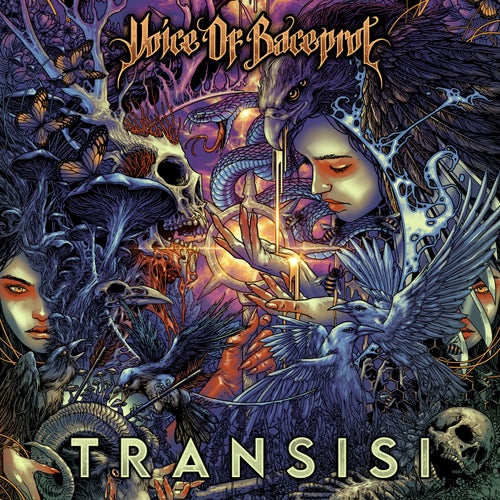 TRANSISI