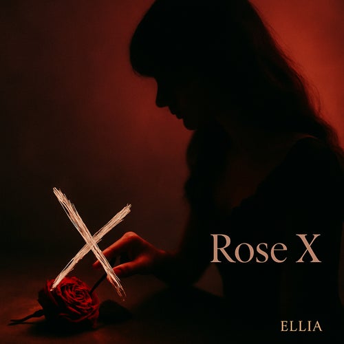 Rose X-The 1st Single Album