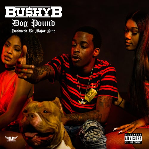 Dog Pound