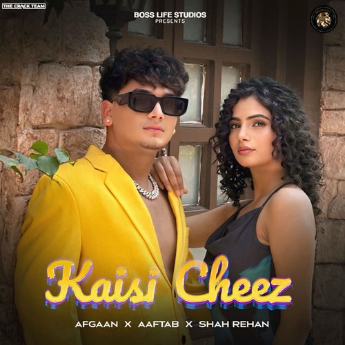 Kaisi Cheez