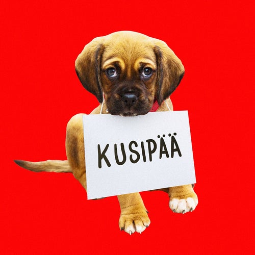 Kusipää