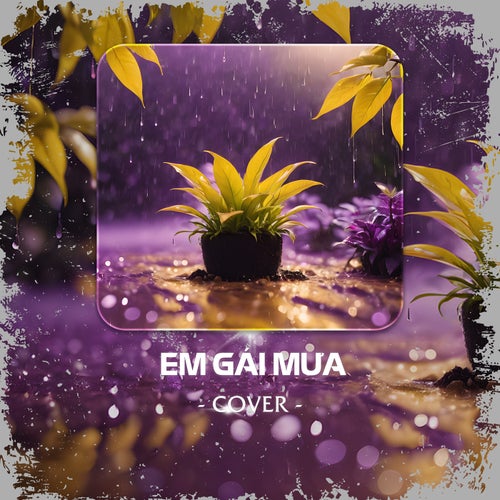 Em Gái Mưa (Cover)