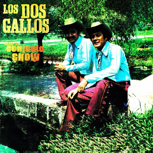 Los dos gallos