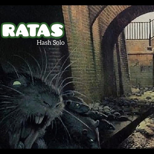 Ratas