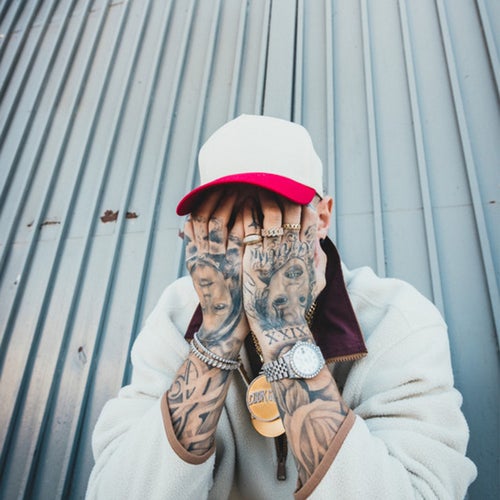 Steelz Profile
