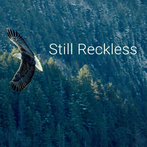 Still Reckless