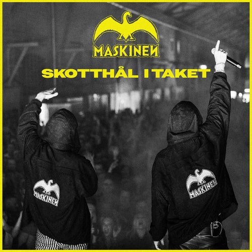 Skotthål i taket
