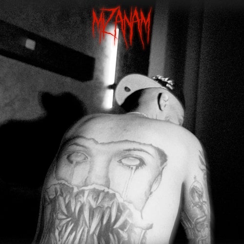Mizanam