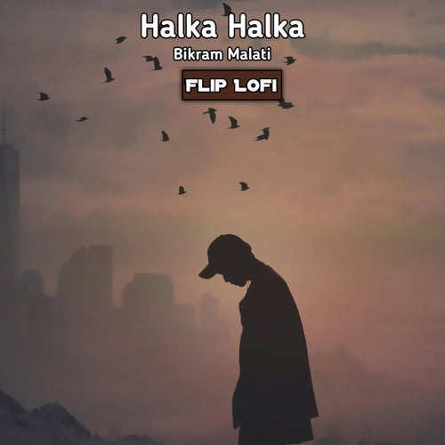 Halka Halka