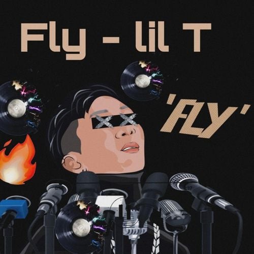 Fly