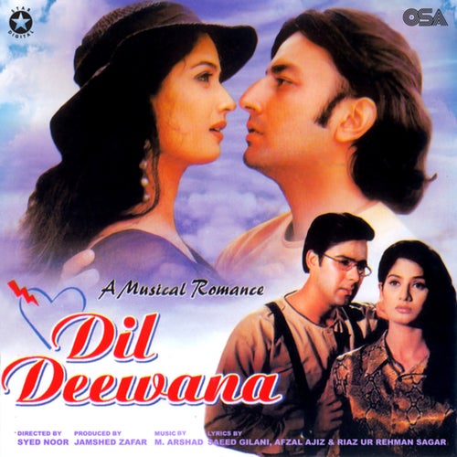 Dil Deewana (Original Motion Picture Soundtrack)