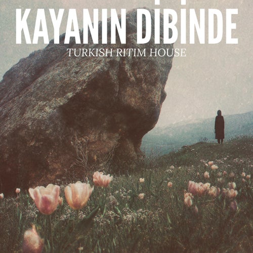 Kayanın Dibinde