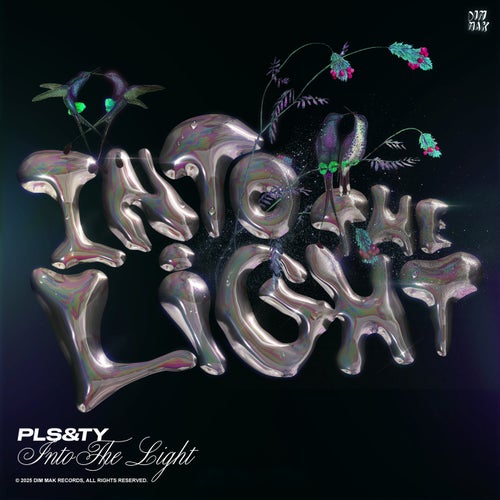 Into The Light (Extended Mixes)