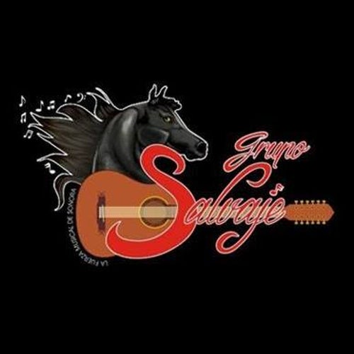 Grupo Salvaje Profile