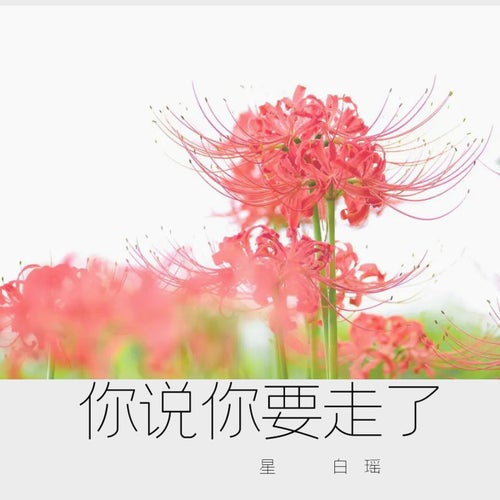 你說你要走了