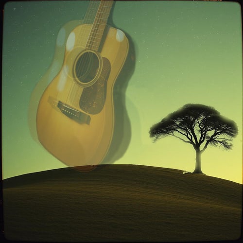 Harmony