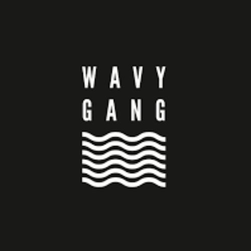 Wavy Gang Profile