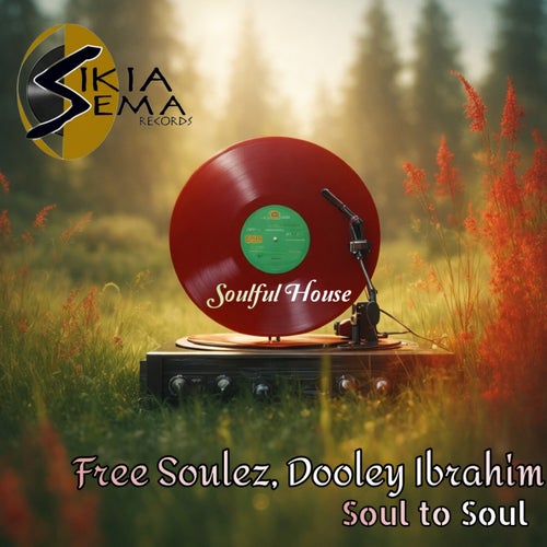 Soul to soul (feat. Dooley Ibrahim)