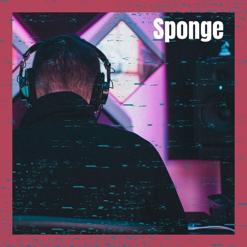 Sponge