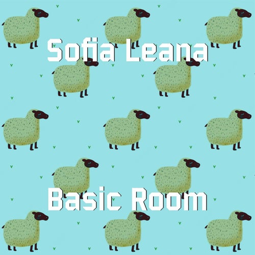 Basic Room