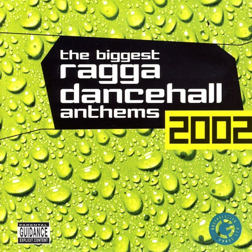 The Biggest Ragga Dancehall Anthems 2002