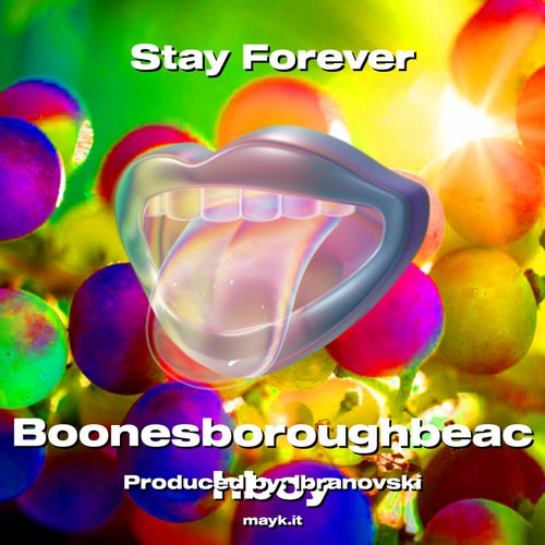 Stay Forever