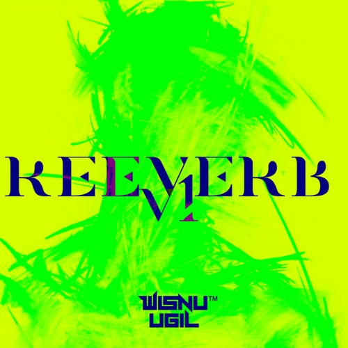 REEVERB V1