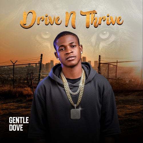 Drive N Thrive
