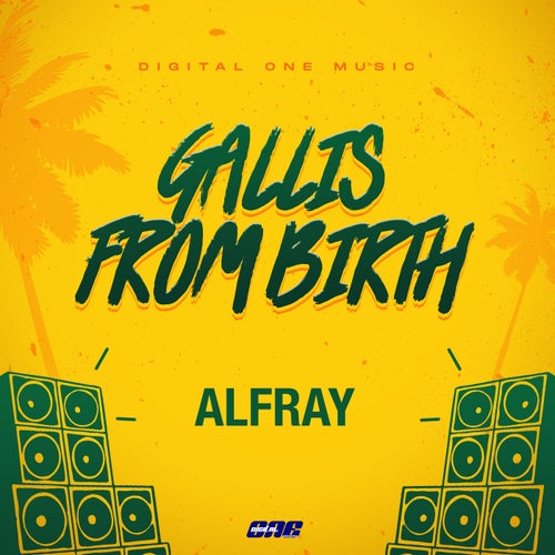 Gallis from Birth