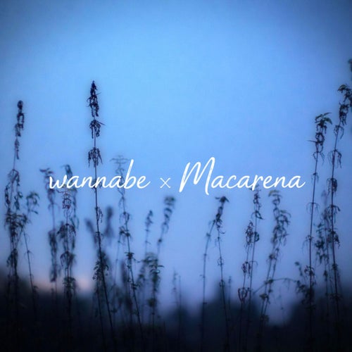 Wannabe x Macarena