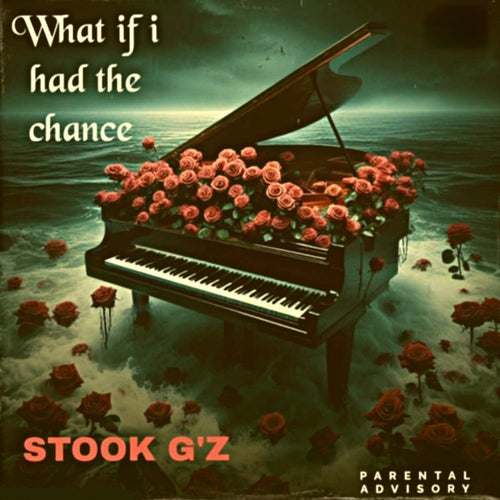 What if I had the chance