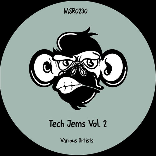 Tech Jems Vol. 2