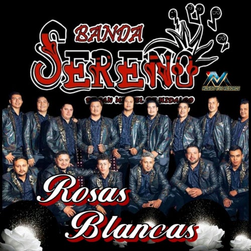 Rosas Blancas