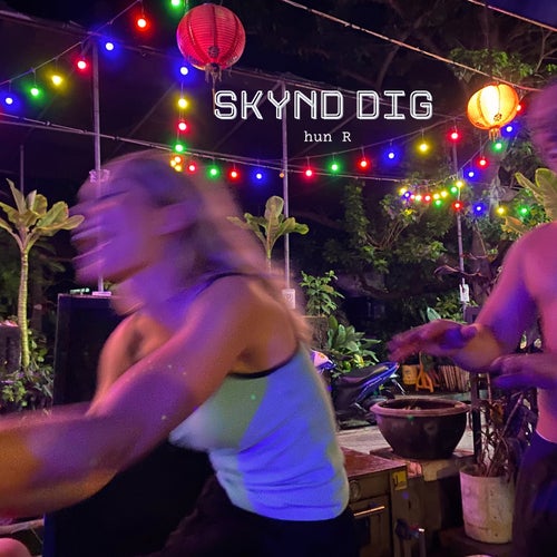 SKYND DIG